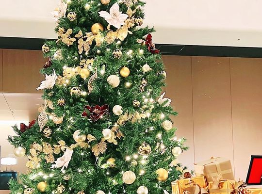 🎄Xmasイベント&忘年会❤︎